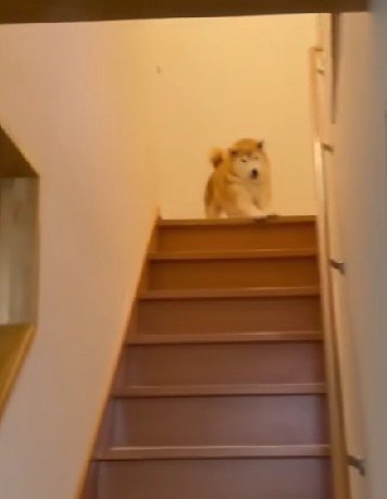 ふあーとのび
