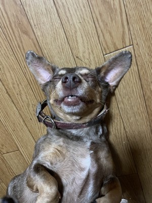 熟睡