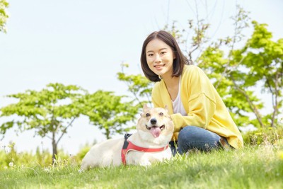 コーギーと女性