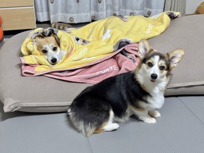 のんびり
