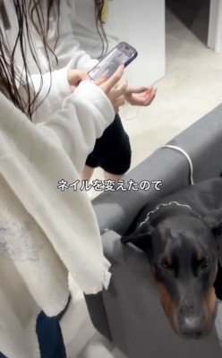 ネイルを可愛く撮りたい!