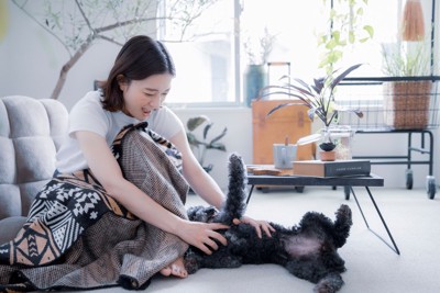 犬を撫でる女性
