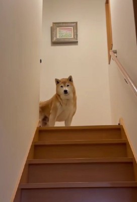 虚無な表情に爆笑!!