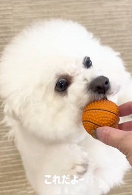 「返してくれたの?よかった~」