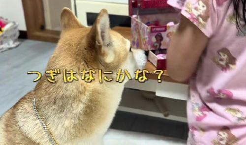 「次はどんなのがくるかな?」