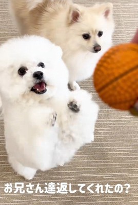 大喜び!