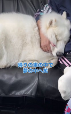 ZZZ…