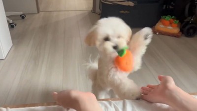可愛すぎる♪