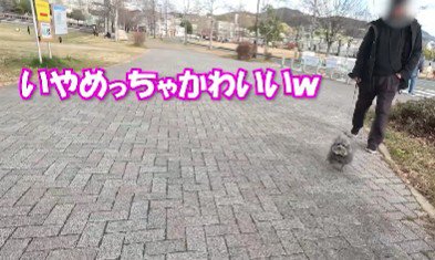 「かわいいw」