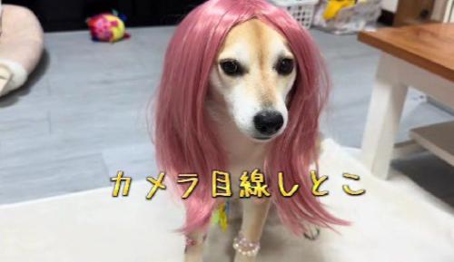 まさかのギャル化!?