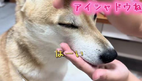 アイシャドウまで!