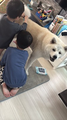 獣医