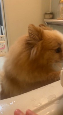 ソワソワ…