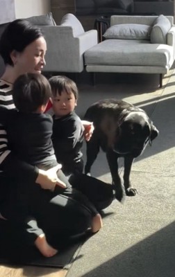 立ち上がる犬