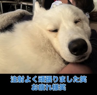 よく頑張りました!