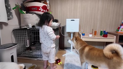 わんこのおやつが気になる…
