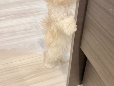 人間