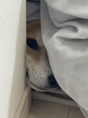 態度