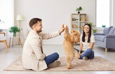 犬と遊ぶカップル