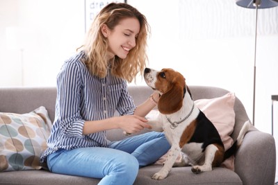 ソファの上で触れ合う女性と犬