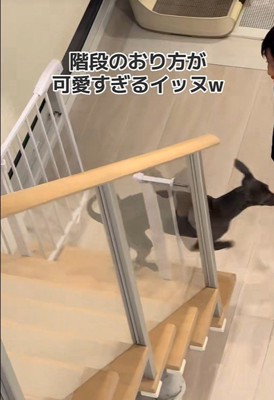下の階に到着