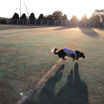 いない時