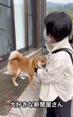 お顔をピトッ