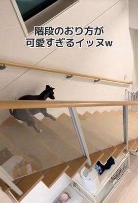 ジャンプ!