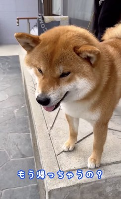 「早くない?」