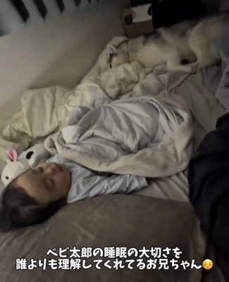 赤ちゃんの足元で伏せる犬