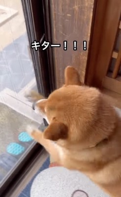 「新聞屋さんだ!!」