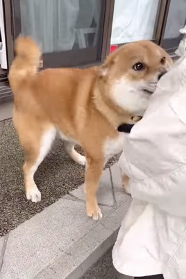 全身で喜びを表現