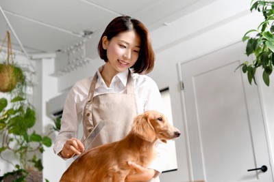 トリマーと犬