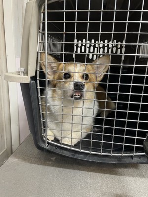 爆笑