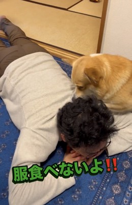 首元を嗅ぐ犬