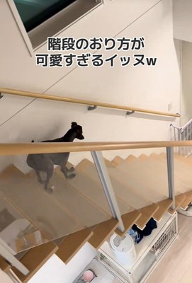 着地