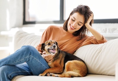 女性に寄りかかる犬