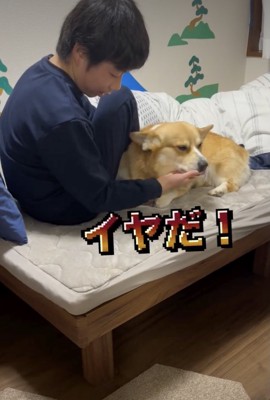 断固拒否!!