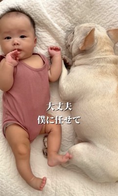 赤ちゃんの隣で伏せる犬