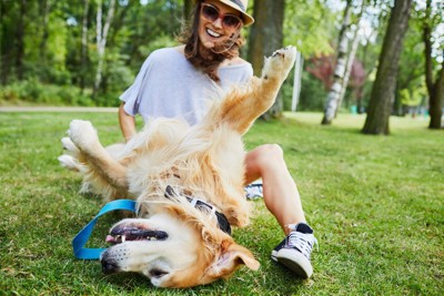 公園で飼い主にスリスリする犬