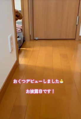 廊下でカメラを構えていたら…