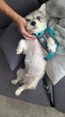 起こす