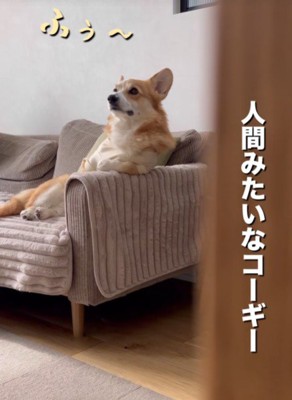 「ふうう」