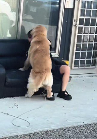 「構って！」