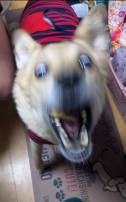 無邪気