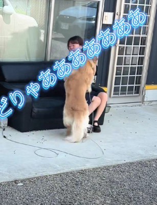 渾身のアタック！！