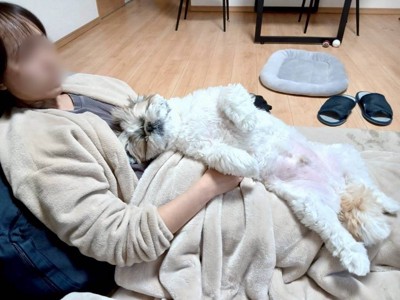ヘソ天