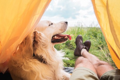 テントで過ごす犬と人