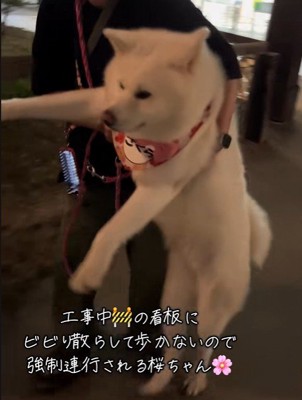 強制連行！