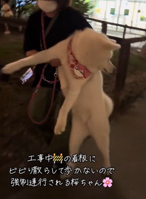 後ろをチラッ